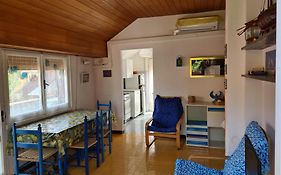 Verde Mare Aptm - Rooftop Terrace - Near Sea- A.C.